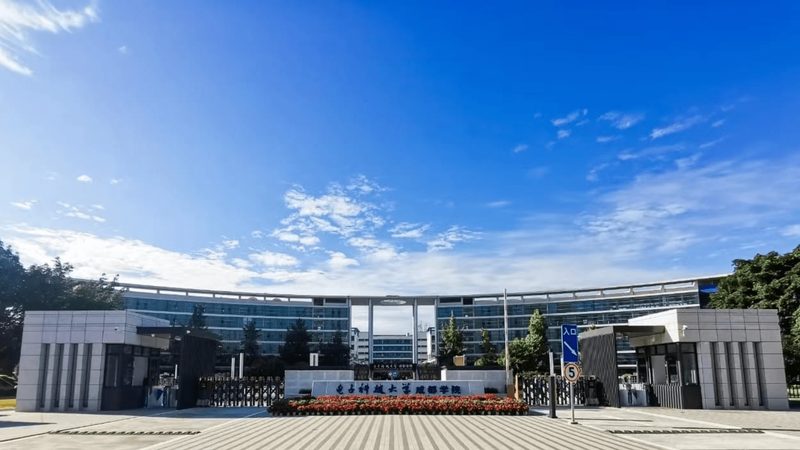 成都芯片设计公司十大品牌：揭秘行业领军力量